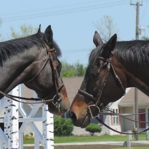 Meet your Posher, Alexia